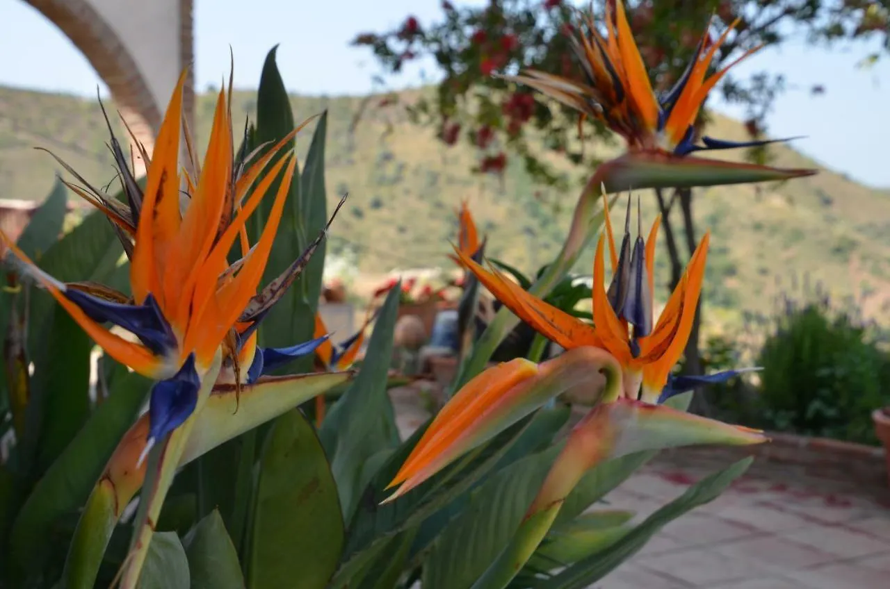 Finca Mariposa Apartamento Sedella España