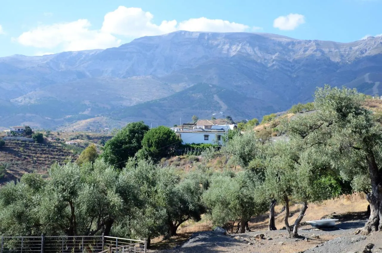 Finca Mariposa Apartamento Sedella